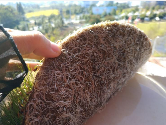 Venta caliente 100% biodegradable aguja de fibra de yute natural perforada micro-verde de cultivo de alfombra 2